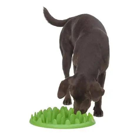 Pet Slow Feeder - petguardiansupplies