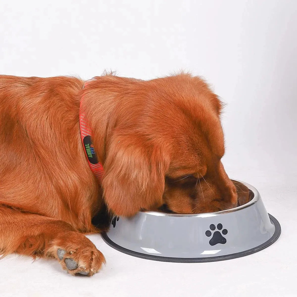 1PC Stainless Steel Pet Bowl Cat Bowl Dog Food Bowl Multi-Specification Anti-fall Food Bowl Food Bowl Feeding Pet Supplies - petguardiansupplies