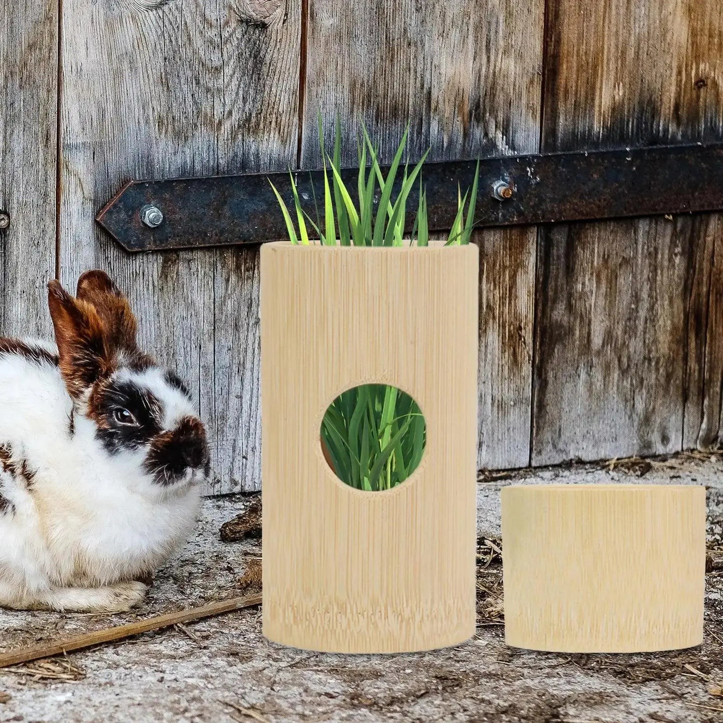 Hay Feeder Feeding Grass Holder, Multifunctional Food Feeding Rack Bunny Hay - petguardiansupplies