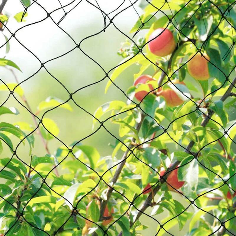 Anti Birds Net Catcher 4/6/8/15/20m Pond Fishing Nets Crops Fruit Tree Vegetables Plant Garden Pest Control - petguardiansupplies