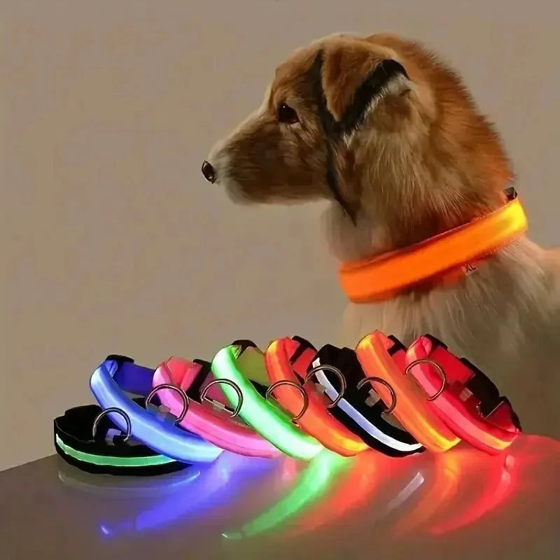 Nylon LED Night Safety Flashing Glow In The Dark Dog Leash Dogs Luminous Fluorescent Pet Dog Collar - petguardiansupplies