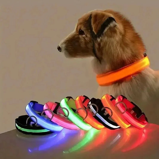 Nylon LED Night Safety Flashing Glow In The Dark Dog Leash Dogs Luminous Fluorescent Pet Dog Collar - petguardiansupplies