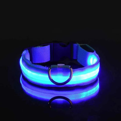 Nylon LED Night Safety Flashing Glow In The Dark Dog Leash Dogs Luminous Fluorescent Pet Dog Collar - petguardiansupplies