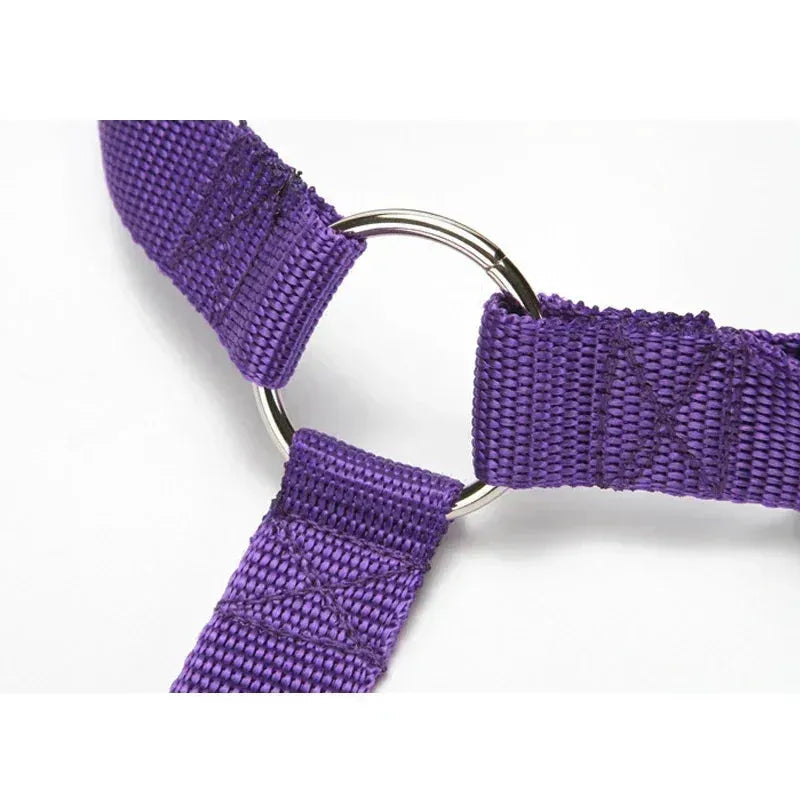 Solid Color Two-in-one Pet Car Seat Belt Nylon Lead Leash Backseat Safety Belt Adjustable Dogs Harness Collar Pet Accessories - petguardiansupplies