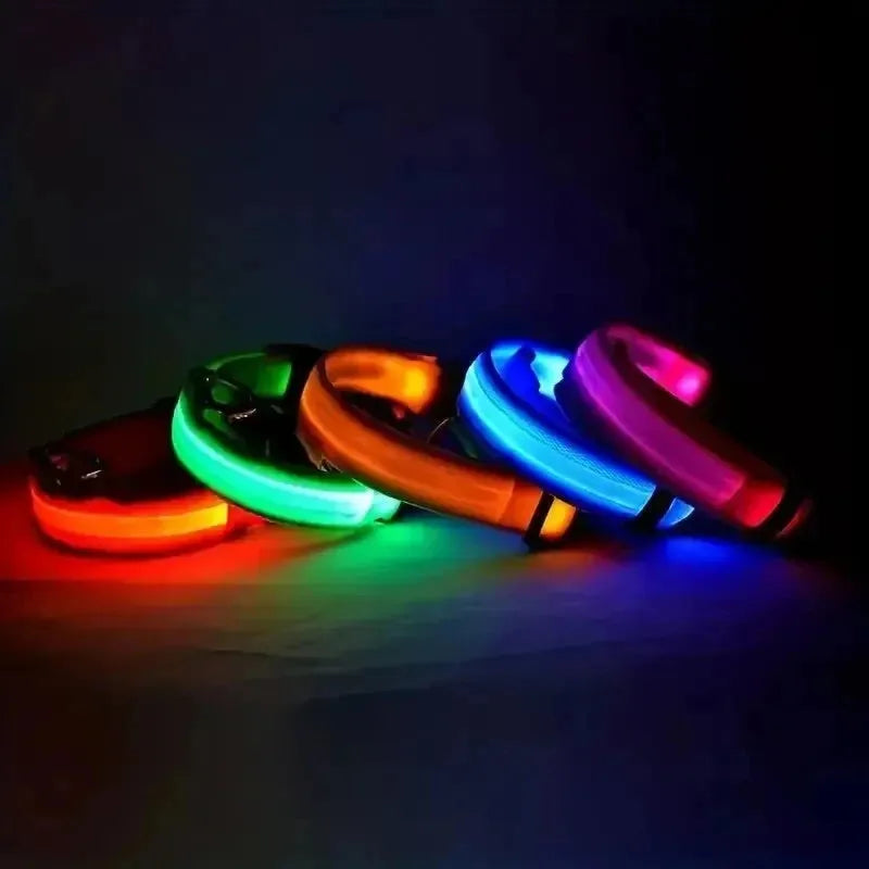 Nylon LED Night Safety Flashing Glow In The Dark Dog Leash Dogs Luminous Fluorescent Pet Dog Collar - petguardiansupplies