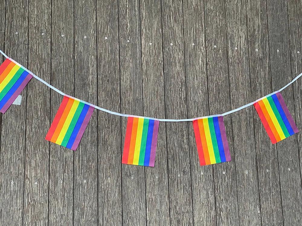 xvggdg Rainbow string Flags 20pcs/set Rainbow Peace Flags Banner LGBT Pride Lesbian Gay Parades string - petguardiansupplies