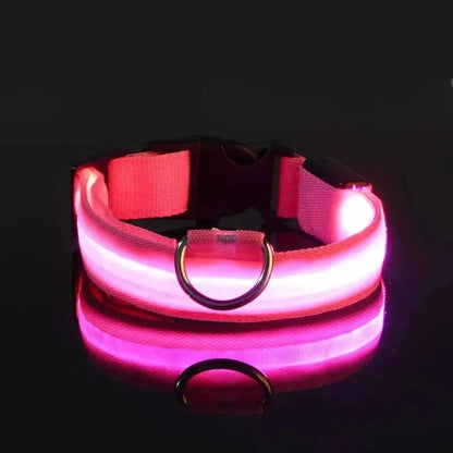 Nylon LED Night Safety Flashing Glow In The Dark Dog Leash Dogs Luminous Fluorescent Pet Dog Collar - petguardiansupplies