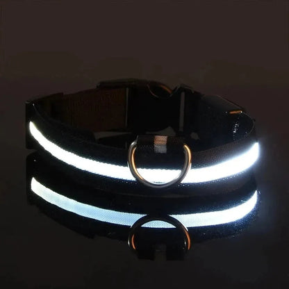 Nylon LED Night Safety Flashing Glow In The Dark Dog Leash Dogs Luminous Fluorescent Pet Dog Collar - petguardiansupplies