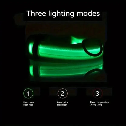 Nylon LED Night Safety Flashing Glow In The Dark Dog Leash Dogs Luminous Fluorescent Pet Dog Collar - petguardiansupplies