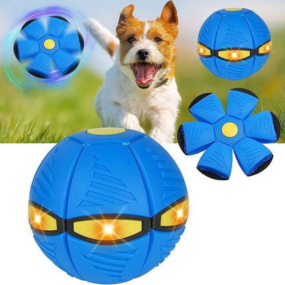 Flying Saucer Ball Pet Dog Toy Outdoor Play for Dogs - petguardiansupplies