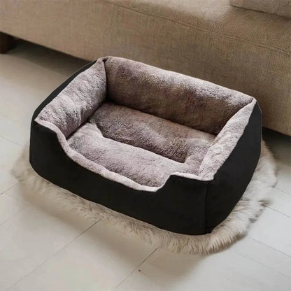 Bed for Cats Pet Products Cushions Kitten Goods Accessories Dog All Houses Supplies Things Accessory Habitats Basket House Beds - petguardiansupplies