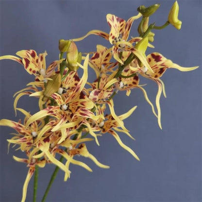 One Faux Single Stem Spider Orchid 34" Length Simulation Real Touch Dendrobium for Wedding Home Decorative Artificial Flowers - petguardiansupplies