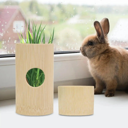 Hay Feeder Feeding Grass Holder, Multifunctional Food Feeding Rack Bunny Hay - petguardiansupplies