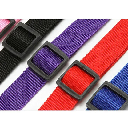 Solid Color Two-in-one Pet Car Seat Belt Nylon Lead Leash Backseat Safety Belt Adjustable Dogs Harness Collar Pet Accessories - petguardiansupplies