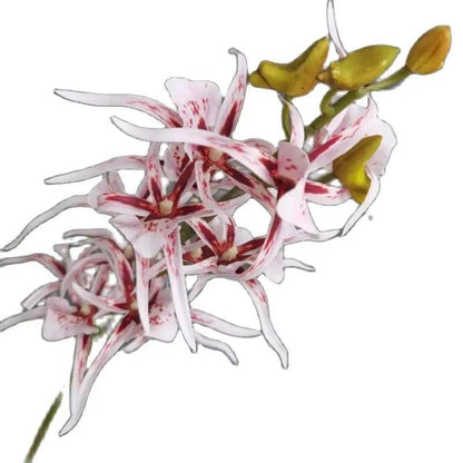 One Faux Single Stem Spider Orchid 34" Length Simulation Real Touch Dendrobium for Wedding Home Decorative Artificial Flowers - petguardiansupplies