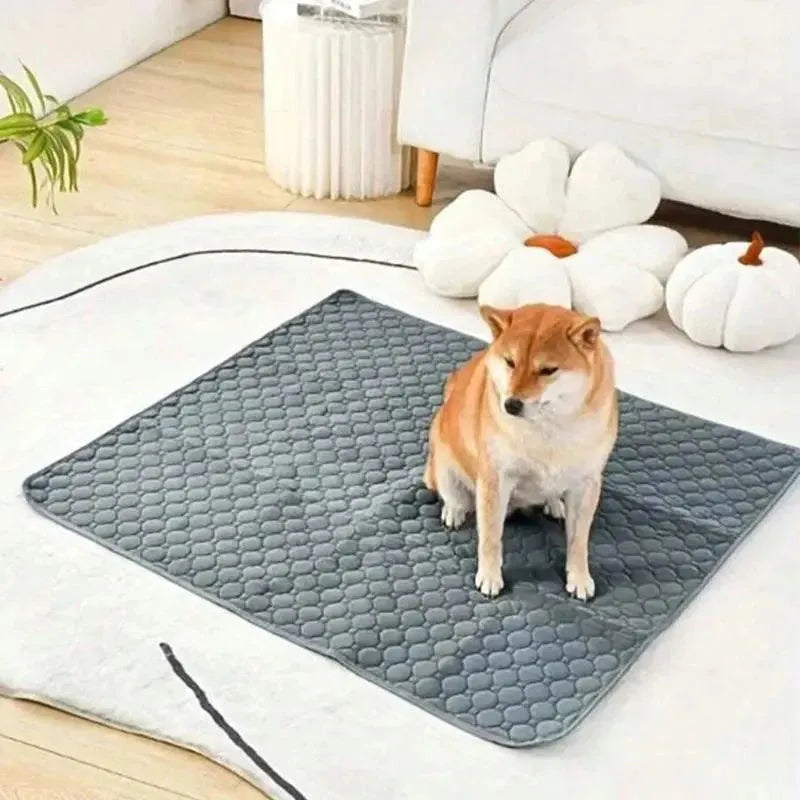 Dog Pee Pad Reusable Washable Dog Urine Mat Car Seat Floor Sofa Waterproof Absorbent Puppy Cat Training Diaper Mat Pet Supplies - petguardiansupplies