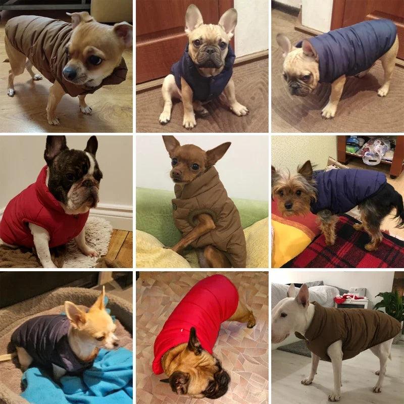 Pet Dog Vest Jacket Autumn Winter Warm Fleece Dog Coat Clothes For Small Medium Large Dogs Chihuahua French Bulldog Pug Clothing - petguardiansupplies