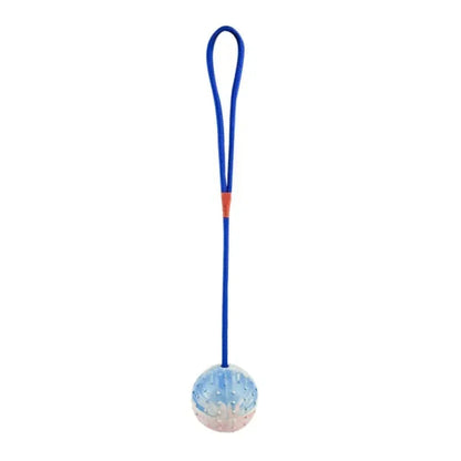 Pet Dogs Training Toy Natural Rubber Ball On Rope For Reward Fetch Play Interactive Funny Dog Toy Dog Training Supplies - petguardiansupplies