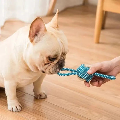 Pet Dog Toys for Large Small Dogs Toy InteractiveCotton Rope Mini Dog Toys Ball for DogsAccessories Toothbrush Chew Puppy Toy - petguardiansupplies