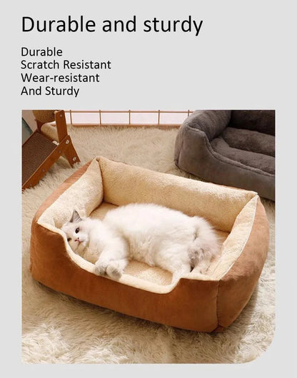 Bed for Cats Pet Products Cushions Kitten Goods Accessories Dog All Houses Supplies Things Accessory Habitats Basket House Beds - petguardiansupplies