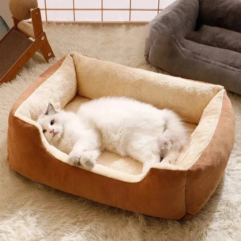 Bed for Cats Pet Products Cushions Kitten Goods Accessories Dog All Houses Supplies Things Accessory Habitats Basket House Beds - petguardiansupplies