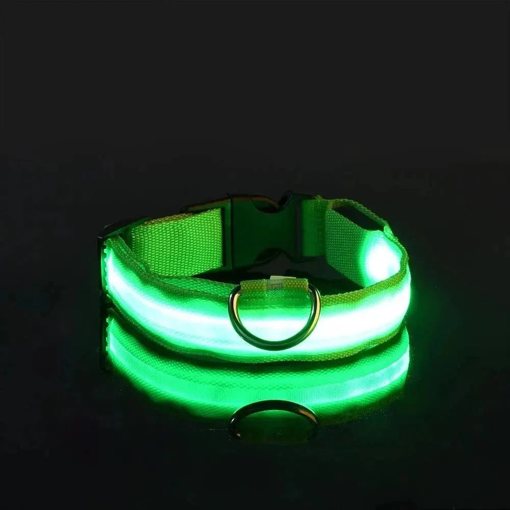 Nylon LED Night Safety Flashing Glow In The Dark Dog Leash Dogs Luminous Fluorescent Pet Dog Collar - petguardiansupplies