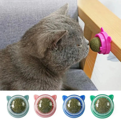 1Pcs Natural Catnip Cat Wall Stick-on Ball Toy Treats Healthy Removes Hair Balls to Promote Digestion Grass Snack Pet Supplies - petguardiansupplies