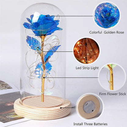 LED Light Rose In Glass - Perfect Gifts - petguardiansupplies