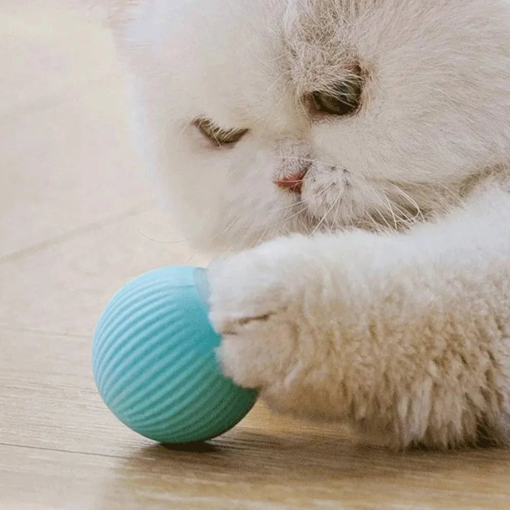 Cat Interactive Ball Smart Pet Cat Toys Indoor Automatic Rolling Magic Ball Electronic Interactive Cat Toy Cat Pet Accessories - petguardiansupplies