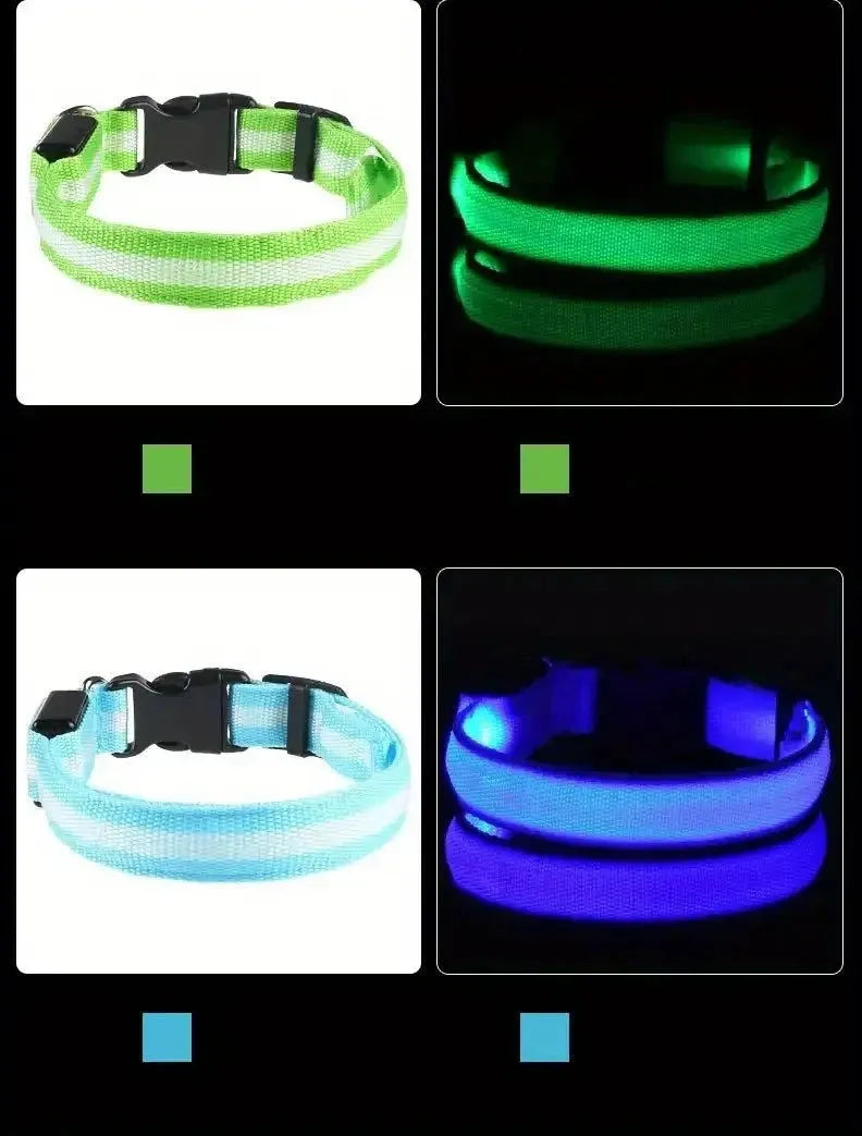 Nylon LED Night Safety Flashing Glow In The Dark Dog Leash Dogs Luminous Fluorescent Pet Dog Collar - petguardiansupplies