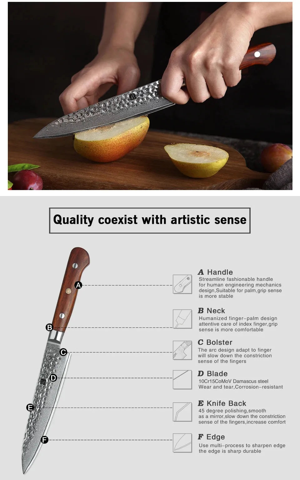 XINZUO 6'' Utility Knife vg10 Damascus Steel Kitchen Utility Knives for Vegetables Rosewood Handle Stainless Steel Paring Knife - petguardiansupplies