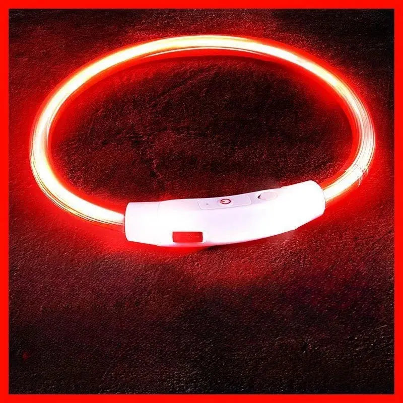 40/50/70cm Led Dog Collar USB Rechargeable Pet Dog Night Luminous Charge Collar Glowing Necklace Collar Safety Night Light - petguardiansupplies