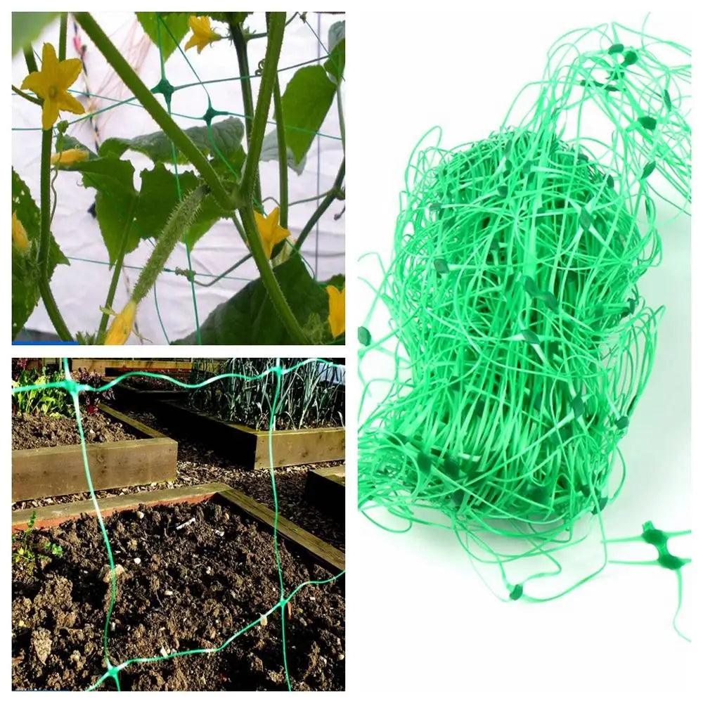 1pc Durable Plastic Plants Climbing Net Yam Vine Plants Towel Gourd Bonsai Flower Grow Support Garden Trellis Netting Fence Net - petguardiansupplies