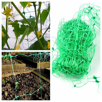 1pc Durable Plastic Plants Climbing Net Yam Vine Plants Towel Gourd Bonsai Flower Grow Support Garden Trellis Netting Fence Net - petguardiansupplies