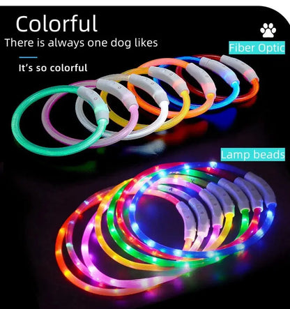 40/50/70cm Led Dog Collar USB Rechargeable Pet Dog Night Luminous Charge Collar Glowing Necklace Collar Safety Night Light - petguardiansupplies