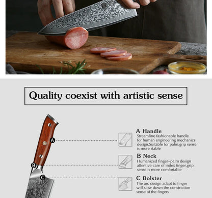 XINZUO 8.5 Inch Chef Knives High Carbon Chinese VG10 67 Layer Damascus Kitchen Knife Stainless Steel Gyuto Knife Rosewood Handle - petguardiansupplies