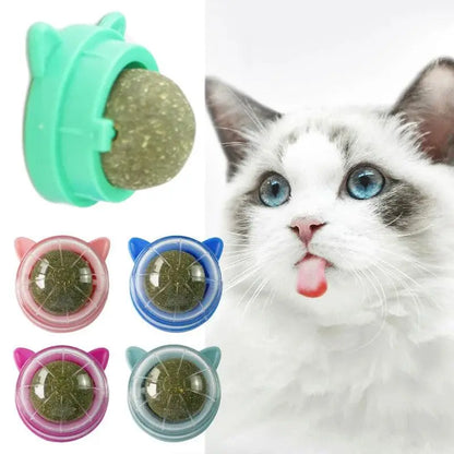 1Pcs Natural Catnip Cat Wall Stick-on Ball Toy Treats Healthy Removes Hair Balls to Promote Digestion Grass Snack Pet Supplies - petguardiansupplies