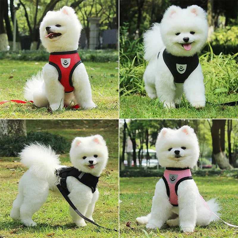 Dog Accessories Breathable Mesh Dog Harness and Leash Set Puppy Cat Harness Vest For Small Dogs Chihuahua arnes para perro 35 - petguardiansupplies