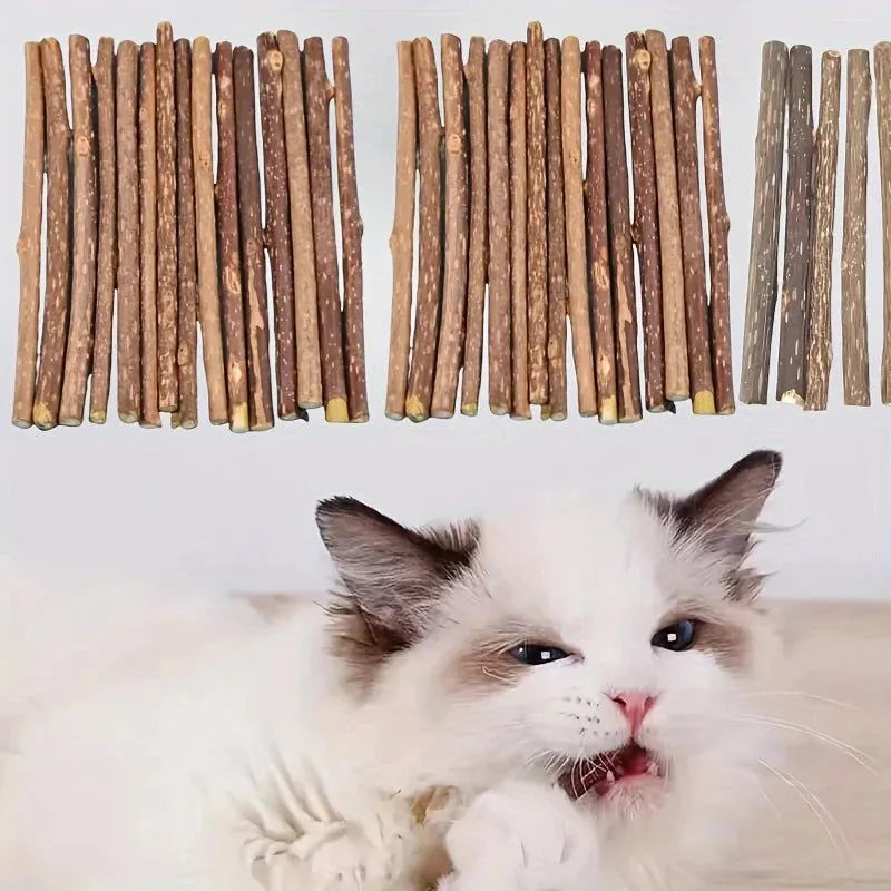 10/15/20 pieces/lot Catnip sticks, pet cat teething toys, natural wooden polygonum sticks, teeth cleaning, boredom relief snacks - petguardiansupplies