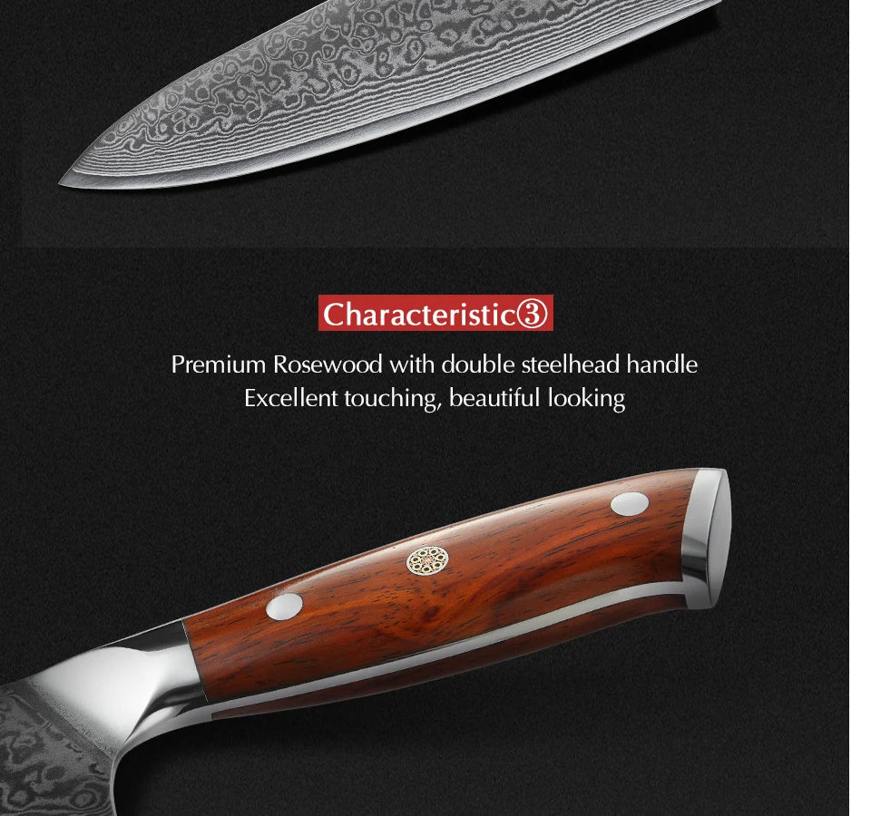 XINZUO 8.5 Inch Chef Knives High Carbon Chinese VG10 67 Layer Damascus Kitchen Knife Stainless Steel Gyuto Knife Rosewood Handle - petguardiansupplies