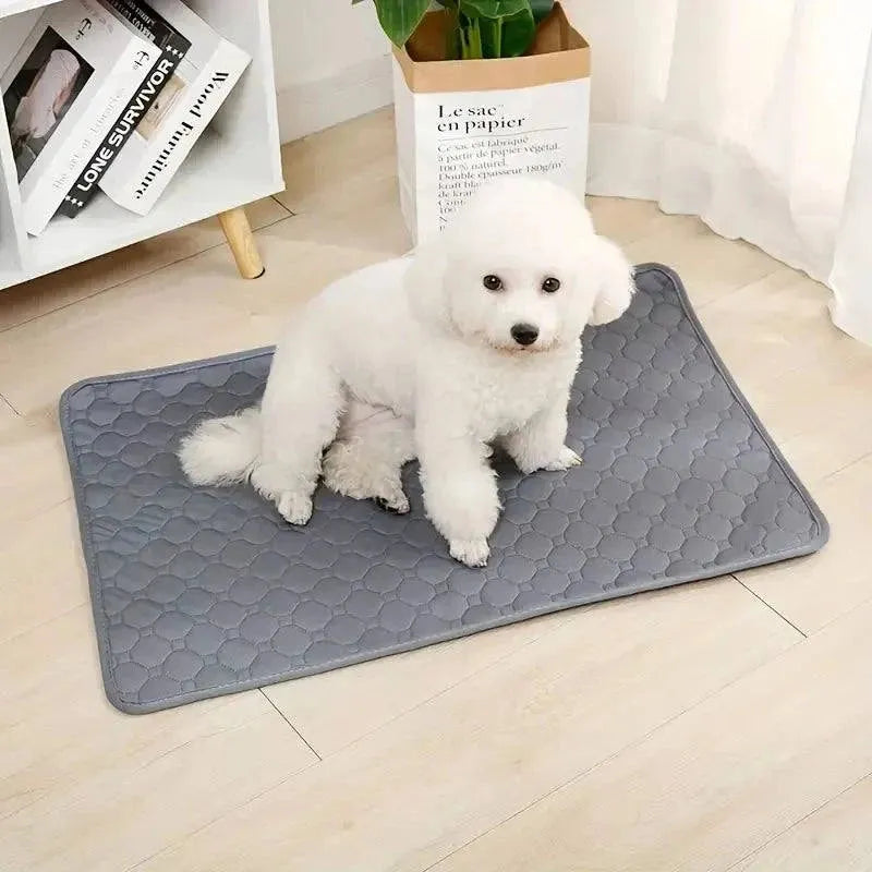 Dog Pee Pad Reusable Washable Dog Urine Mat Car Seat Floor Sofa Waterproof Absorbent Puppy Cat Training Diaper Mat Pet Supplies - petguardiansupplies