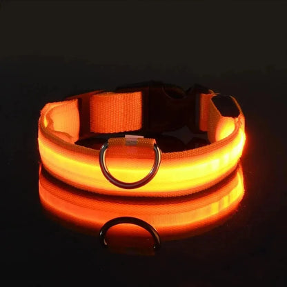 Nylon LED Night Safety Flashing Glow In The Dark Dog Leash Dogs Luminous Fluorescent Pet Dog Collar - petguardiansupplies