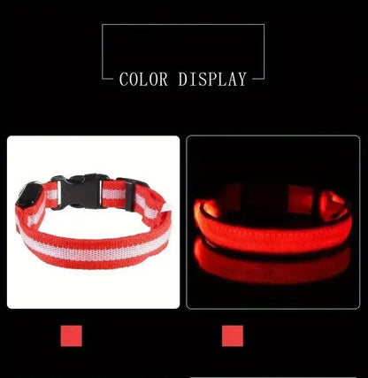 Nylon LED Night Safety Flashing Glow In The Dark Dog Leash Dogs Luminous Fluorescent Pet Dog Collar - petguardiansupplies