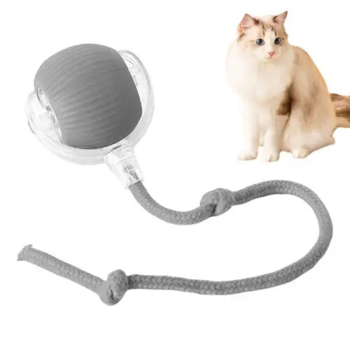 Cat Interactive Ball Training Self-moving Kitten Electric Cat Ball Toys Electronic Automatic Rolling Magic Ball Toys for Cat - petguardiansupplies