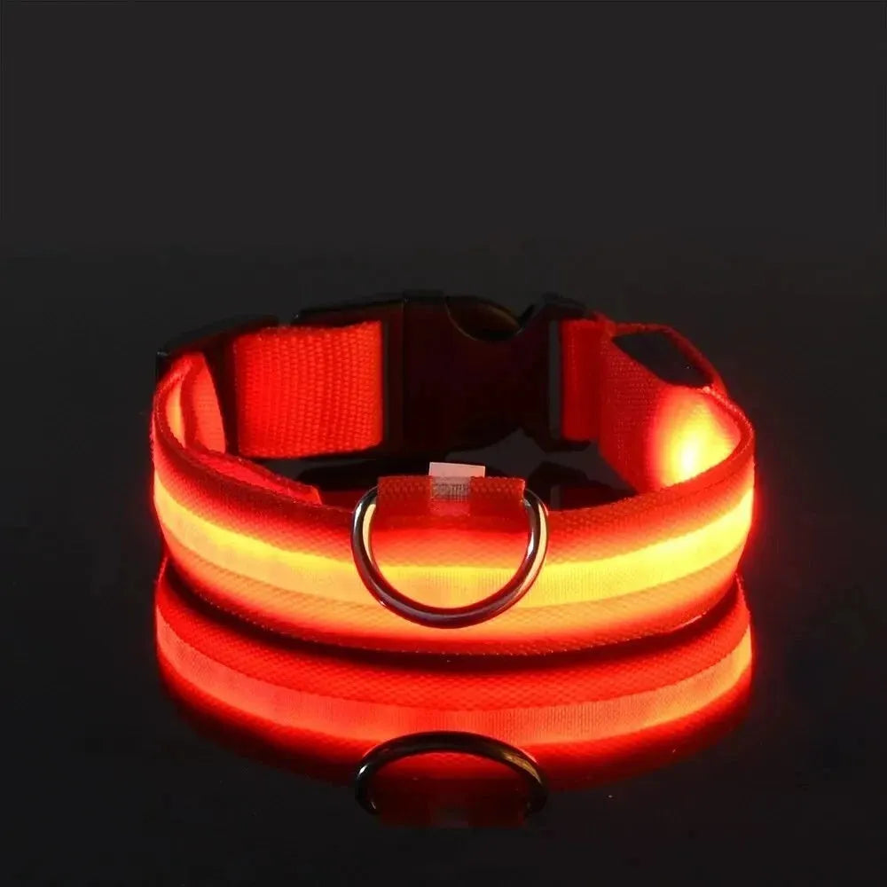 Nylon LED Night Safety Flashing Glow In The Dark Dog Leash Dogs Luminous Fluorescent Pet Dog Collar - petguardiansupplies