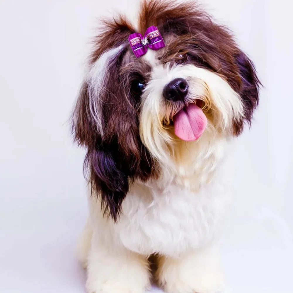 20pcs Pet Dog Cute Hair Bows with Rhinestone&Flowers Ribbon Bows Dog Hair Accessory Dog Groomining Pet Supplies - petguardiansupplies