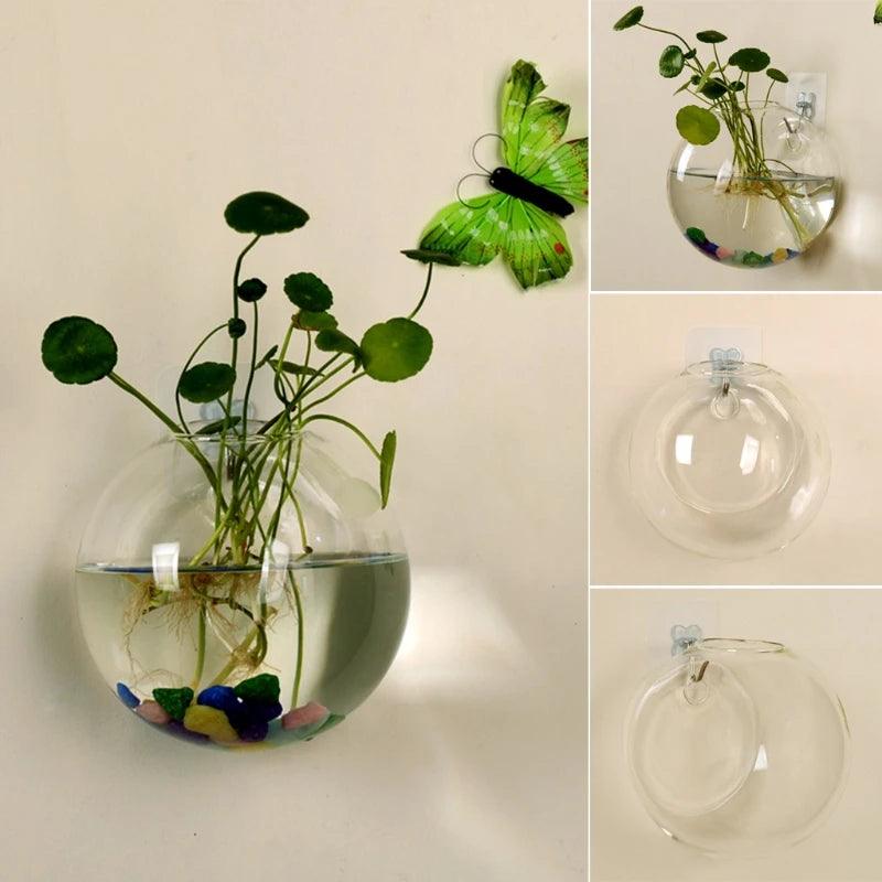 Transparent Glass Vase Wall Hanging Hydroponic Terrarium Fish Tanks Potted Plant Flower Pot Dia 8cm/10cm/12cm - petguardiansupplies