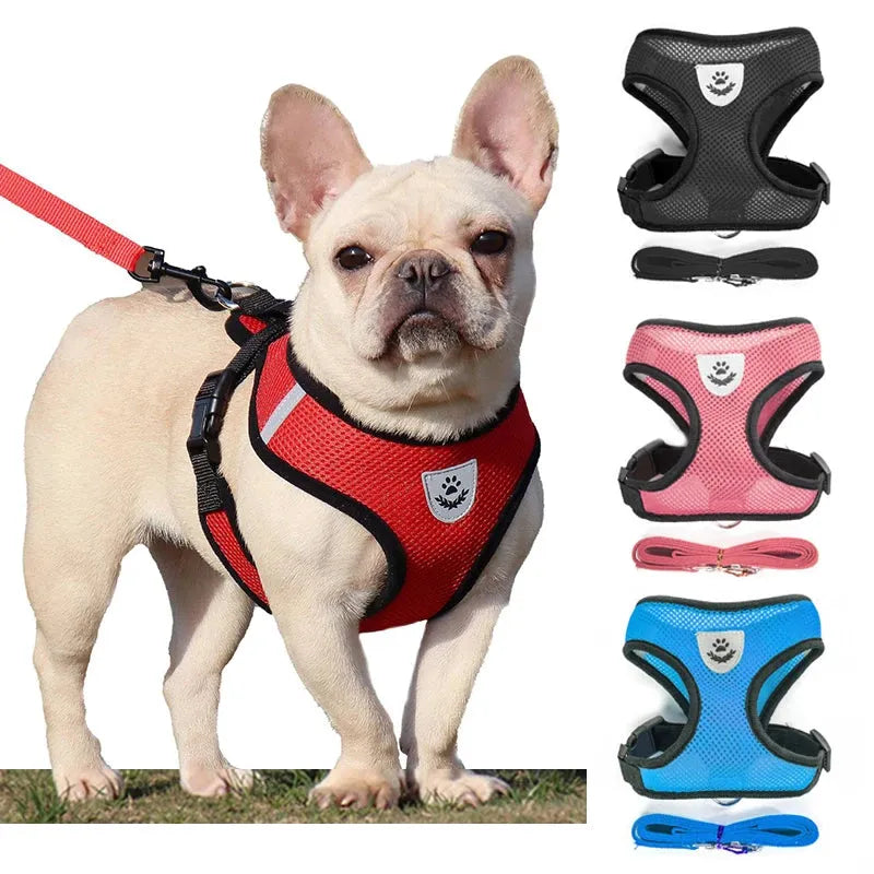 Dog Accessories Breathable Mesh Dog Harness and Leash Set Puppy Cat Harness Vest For Small Dogs Chihuahua arnes para perro 35 - petguardiansupplies