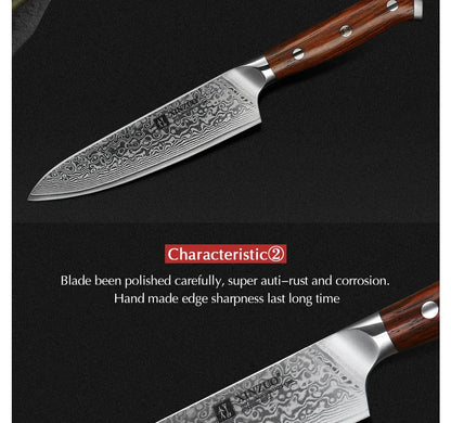 XINZUO 5'' Inch Utility Knives Japanese Damascus Steel Kitchen Knife Rosewood Handle Top Selling Small Knife Fruit Cook Knives - petguardiansupplies