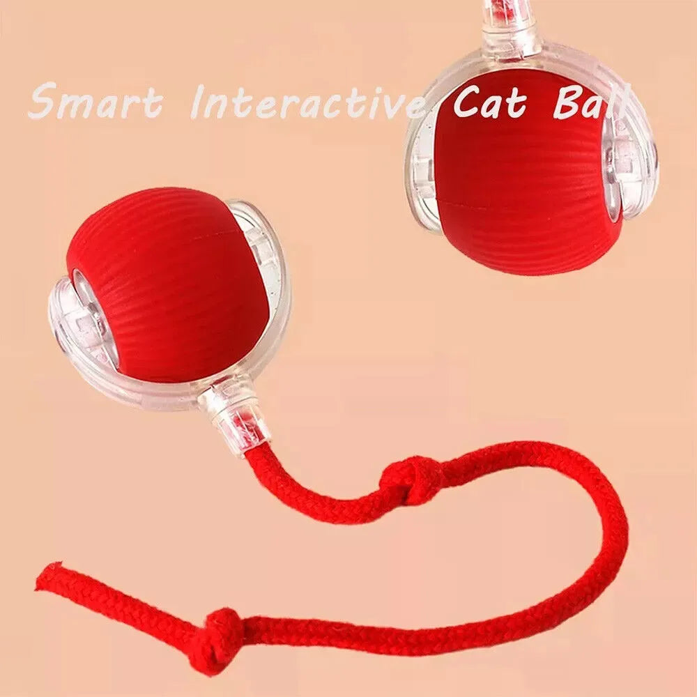 Cat Interactive Ball Training Self-moving Kitten Electric Cat Ball Toys Electronic Automatic Rolling Magic Ball Toys for Cat - petguardiansupplies